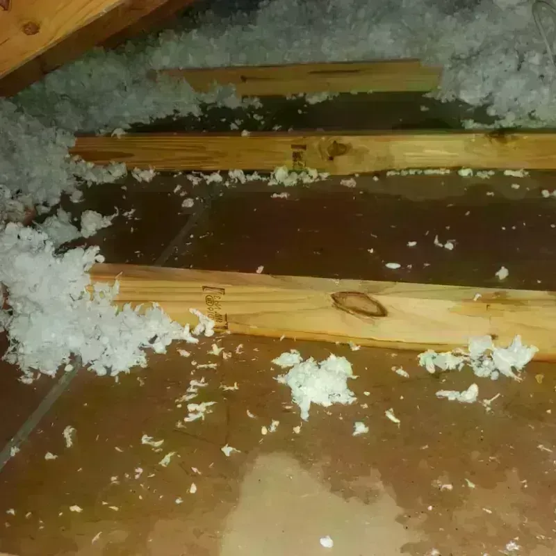 Attic Water Damage in Brookston, IN